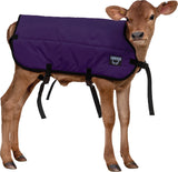 Calf Blanket - Calf Jacket