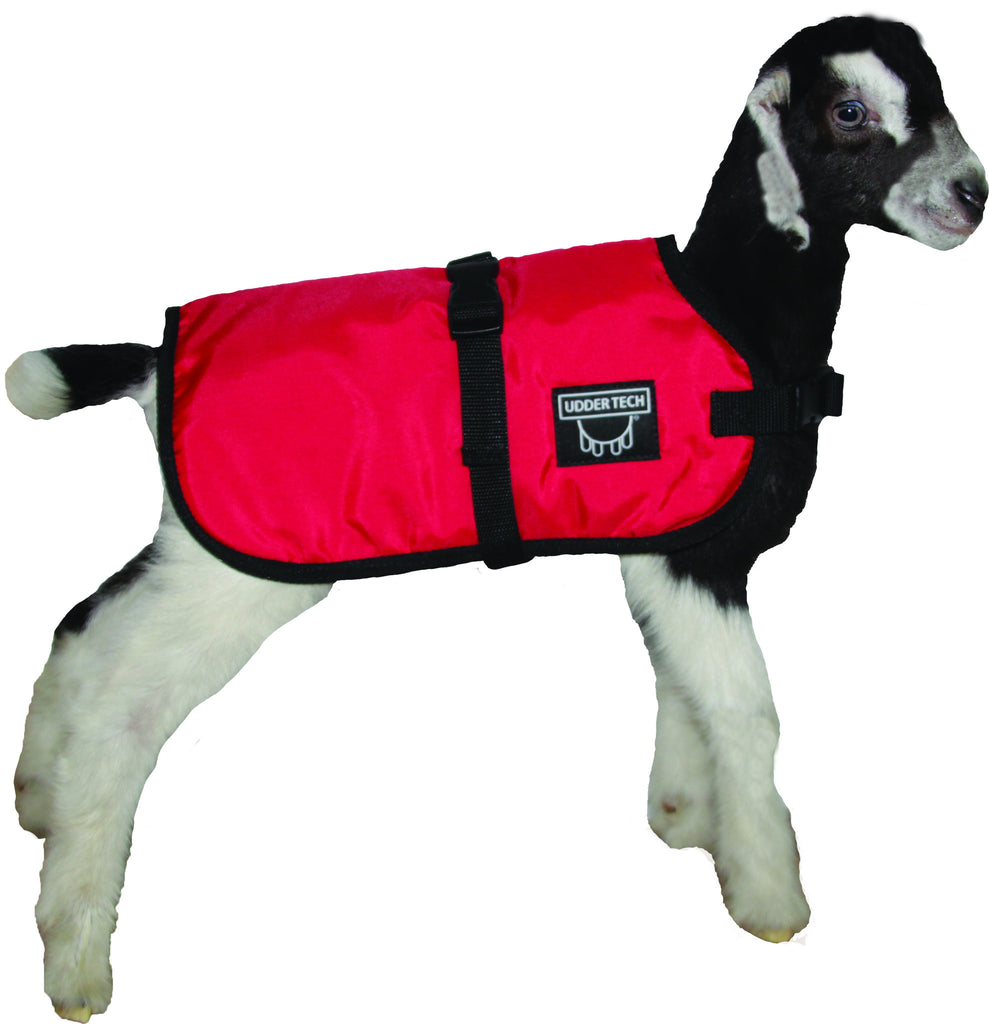 Udder Tech, Inc. launches NEW Kid and Lamb Blankets