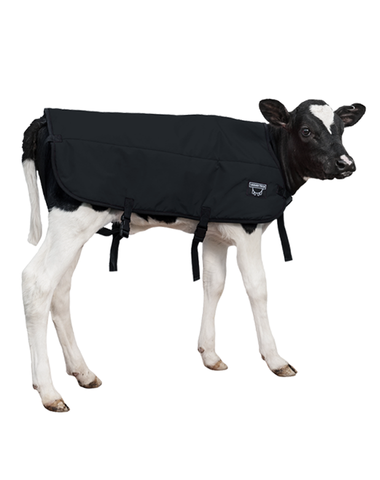 Calf Blanket Calf Jacket