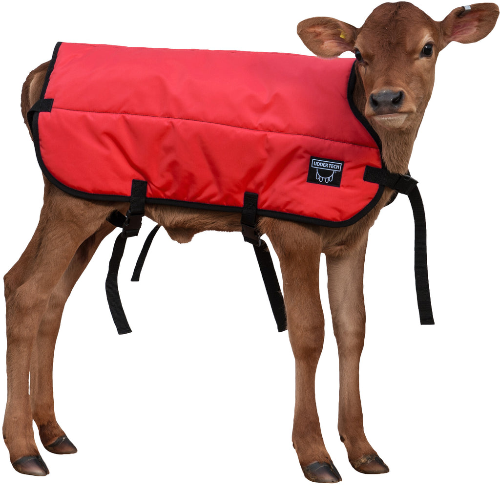 Thinsulate discount calf jackets